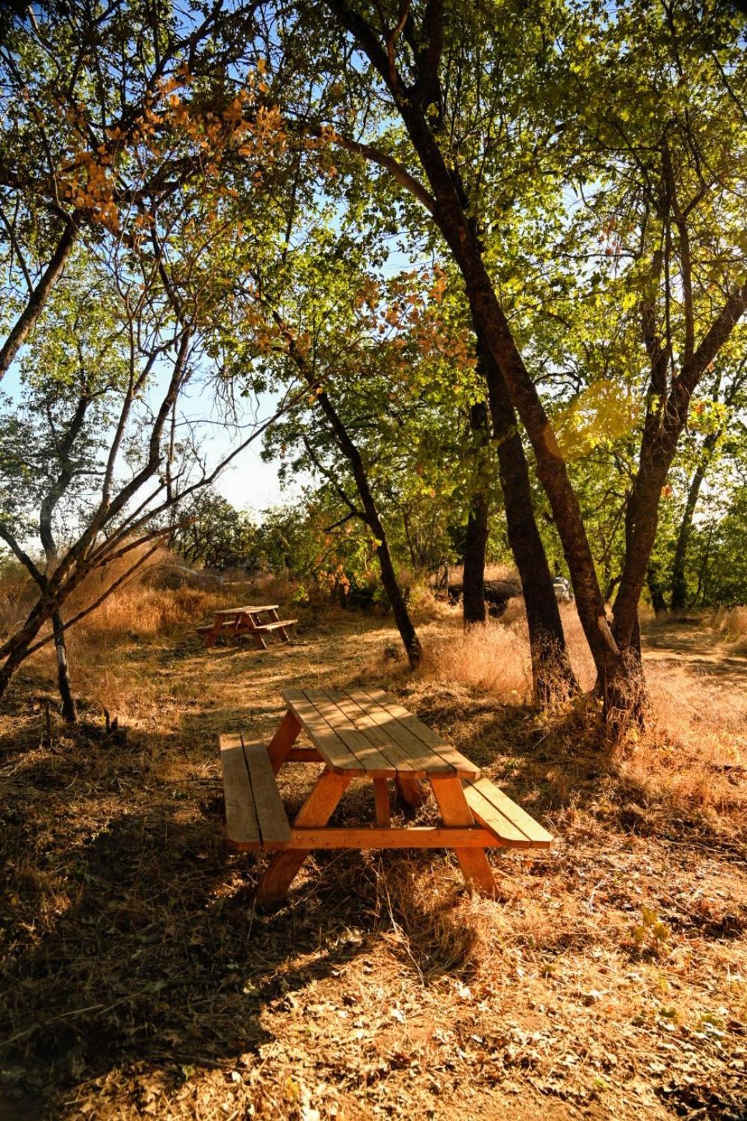 Campground At Sequoia Mountain Farms - Bring Your Own Tent Or Rv - No Bedrooms Or Beds Provided Miramonte Ngoại thất bức ảnh